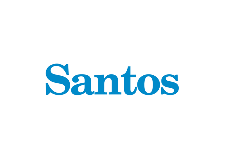 Santos Logo Posts