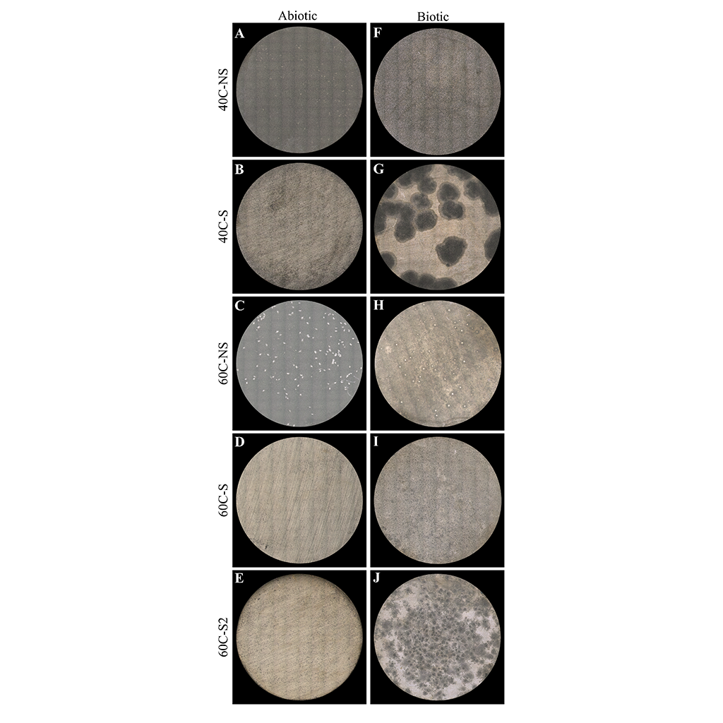 Figure 1. Coupon surfaces after 21 days of corrosion testing. (A, F) coupons exposed to 40 °C without sulphur compounds, (B, G) coupons exposed to 40 °C with sulphate and thiosulphate, (C, H) coupons exposed to 60 °C without sulphur compounds, (D, I) coupons exposed to 60 °C with sulphate and thiosulphate, (E, J) coupons exposed to 60 °C with thiosulphate.
