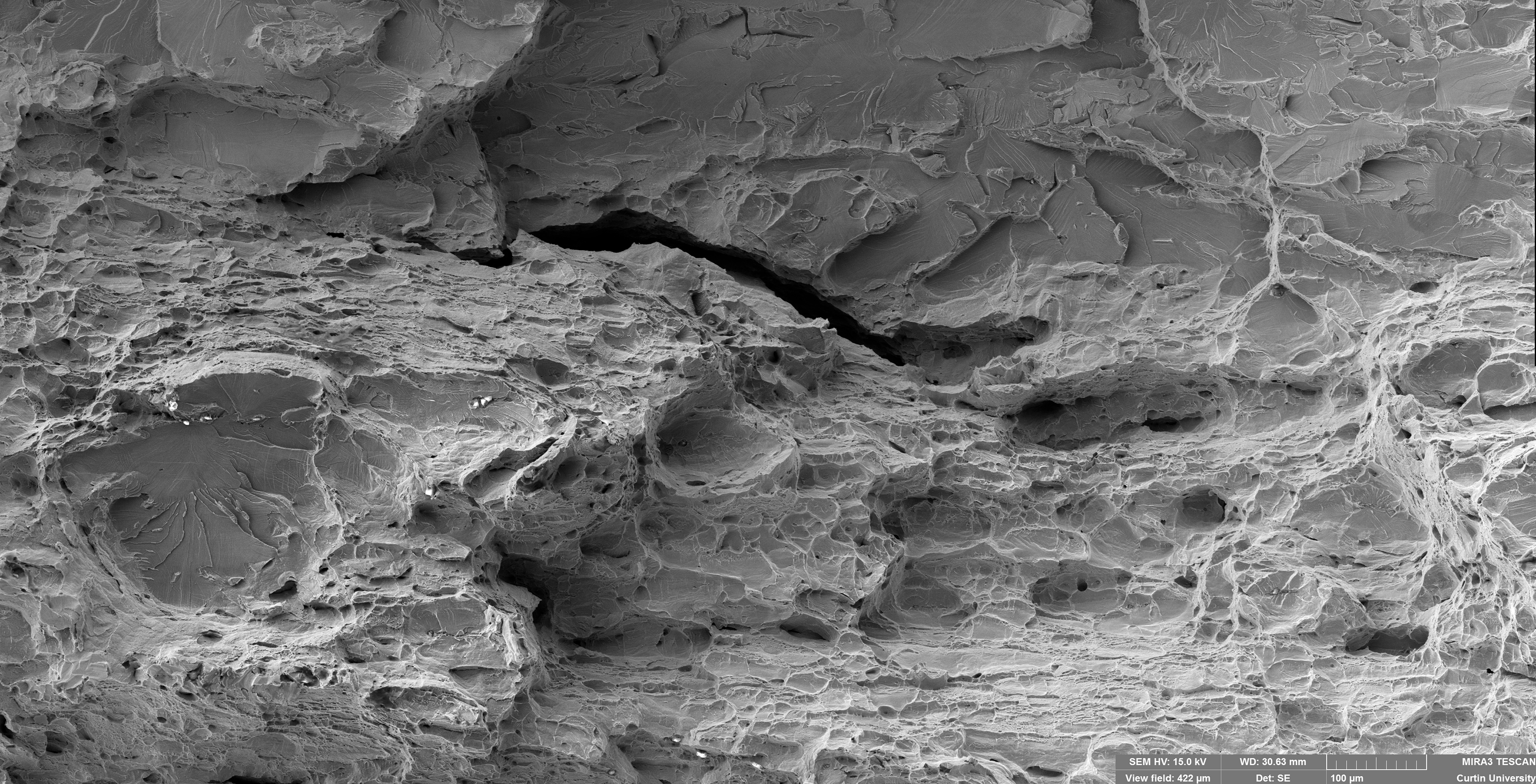 First Place - Sofía Hazarabedian: Composite secondary electron image of the fracture surface (full description in the following slides).
