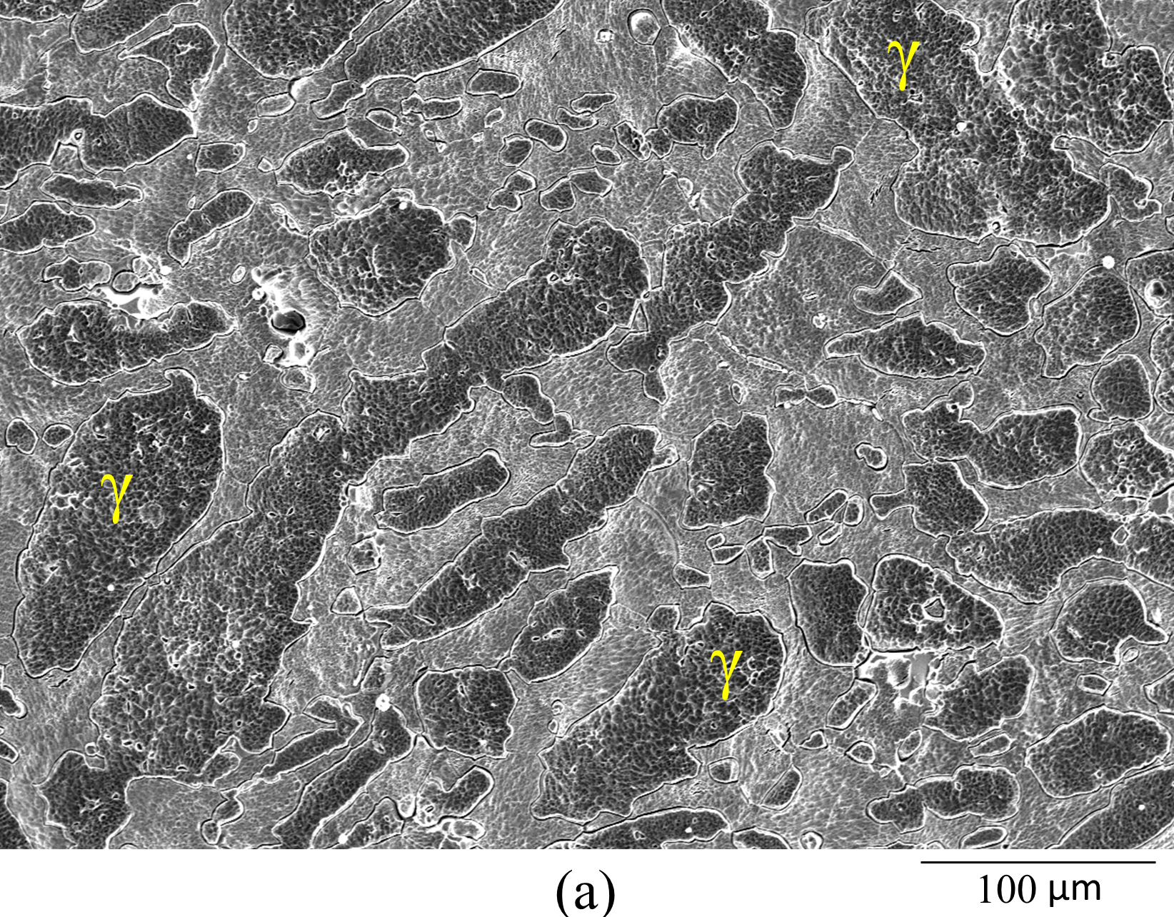 Figure 1a. SEM secondary electron images of (a) UNS S32750 specimens after the anodic potentiodynamic polarization in a 7 M LiCl solution at 60 °C. In the pictures, the austenite phase (γ) is indicated. The other phase is ferrite (α).