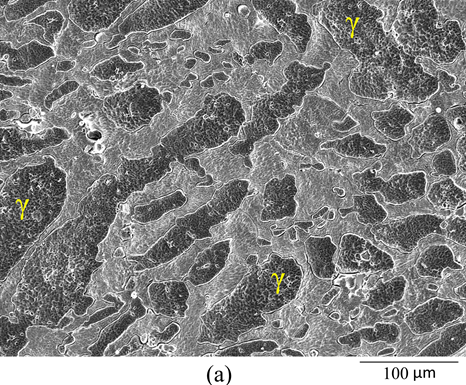 Figure 1a. SEM secondary electron images of (a) UNS S32750 specimens after the anodic potentiodynamic polarization in a 7 M LiCl solution at 60 °C. In the pictures, the austenite phase (γ) is indicated. The other phase is ferrite (α).