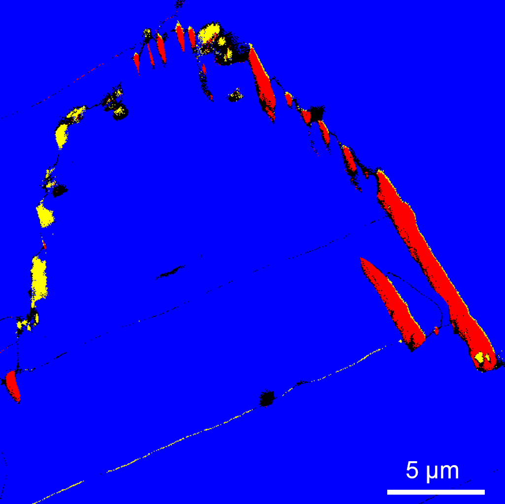 <p><span>Figure 2b. EBSD phase map: fcc γ-matrix in blue, M<sub>23</sub>C<sub>6</sub> carbide in yellow and F phase in red.</span><span></span></p>