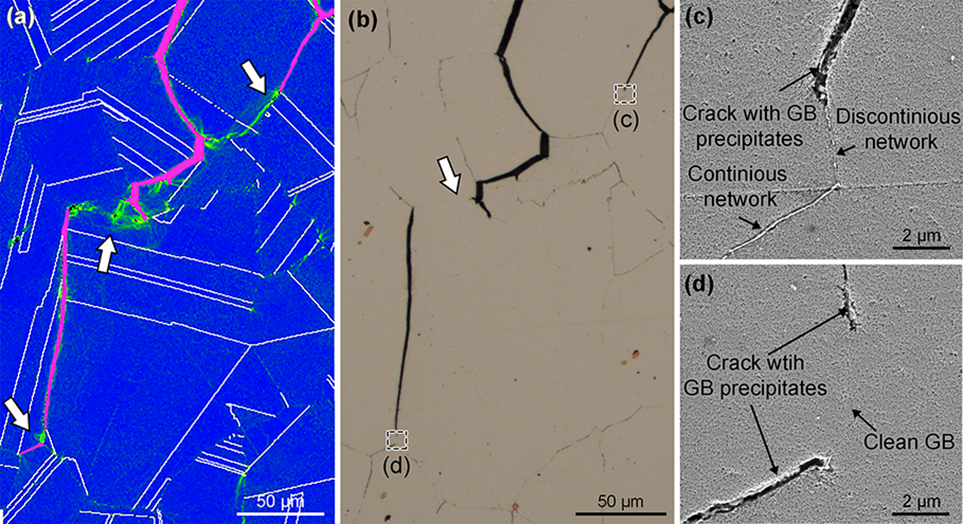 <p>Figure 2. Crack advance analysis. (a) EBSD map showing in crack cross-section shape in pink and deformation areas in green. (b) Optical and (c-d) SEM images of intergranular precipitates occurrence around the crack cross-section. White arrows indicate arresting locations, which correspond to precipitate free or partially decorated grain boundaries.</p>