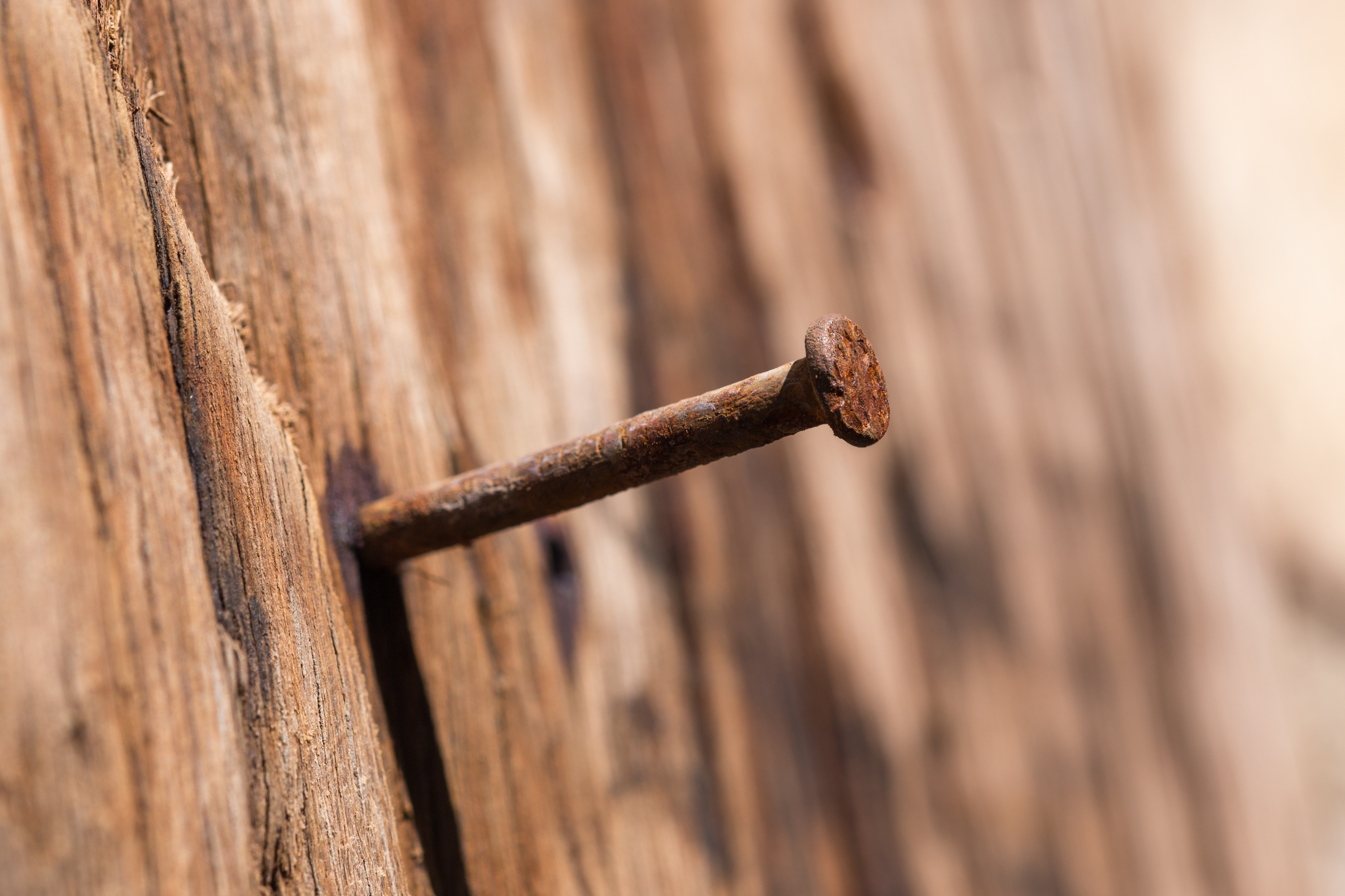 Observing Rusting Behavior of Iron Nails Exposed to Different Chemical  Solutions - StudyMoose